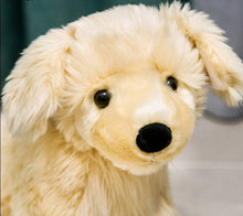 Load image into Gallery viewer, image of an adorable golden retriever stuffed animal plush toy face close up