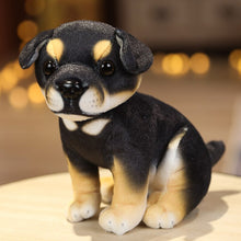 Load image into Gallery viewer, image of a adorable rottweiler stuffed animal plush toy