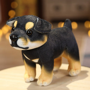 image of a adorable rottweiler stuffed animal plush toy