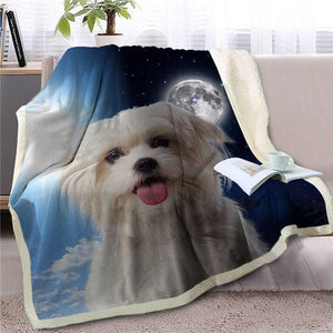 My Sun, My Moon, My Boxer Love Warm Blanket - Series 1-Blanket-Blankets, Boxer, Dogs, Home Decor-Maltese-Medium-25