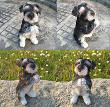 Load image into Gallery viewer, Image of the collage of namaste Schnauzer garden statue