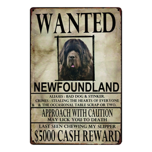 Image of an hilarious wanted newfoundland signboard tin poster