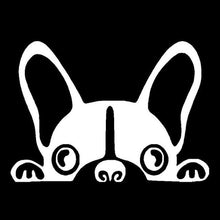 Load image into Gallery viewer, Image of peeping boston terrier car sticker in white color