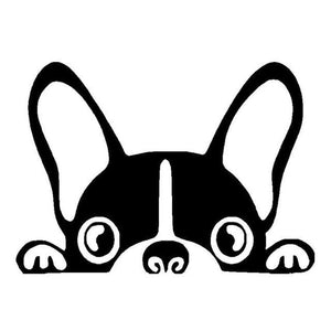 Image of peeping boston terrier car sticker in black color