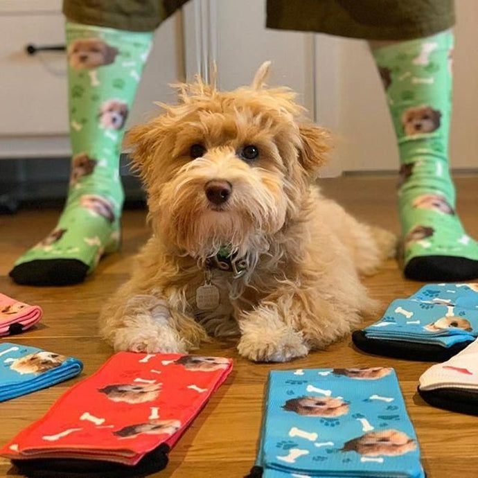 Personalized Custom Dog Socks - Perfect for Pet Lovers-Personalized Dog Gifts-Accessories, Personalized Dog Gifts, Socks-1