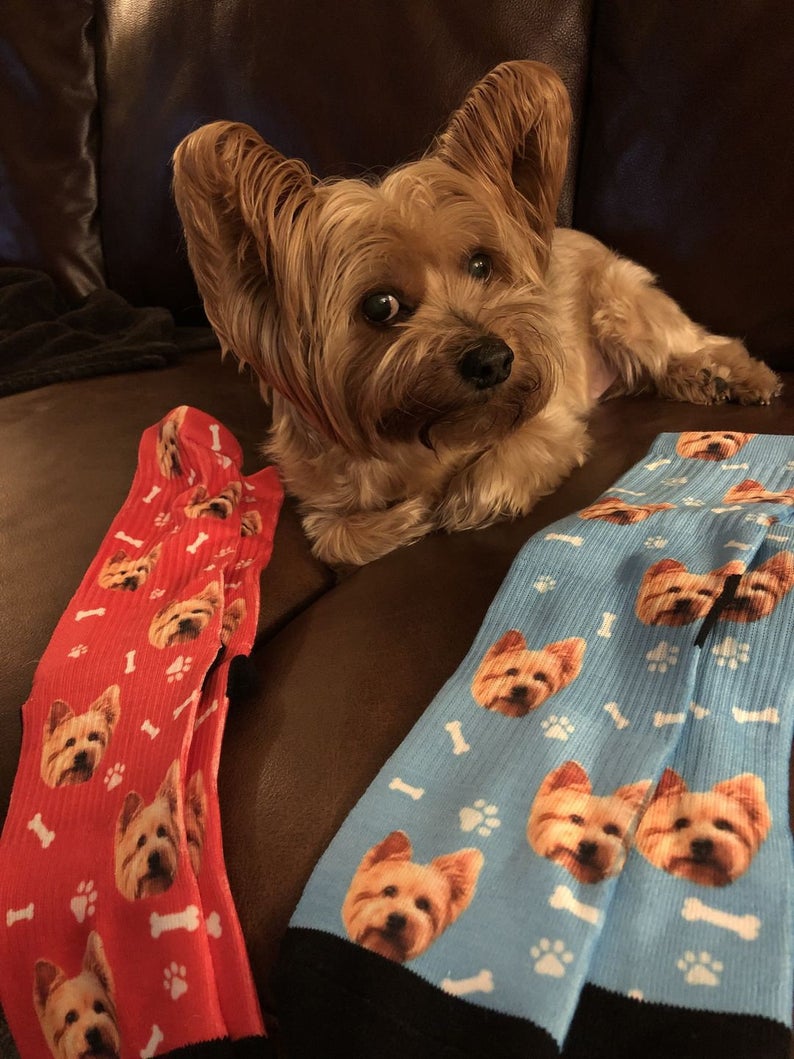 Personalized Custom Wire Fox Terrier Socks 7