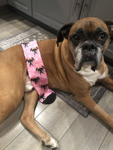 Load image into Gallery viewer, Personalized Custom Dog Socks - Perfect for Pet Lovers-Personalized Dog Gifts-Accessories, Personalized Dog Gifts, Socks-5