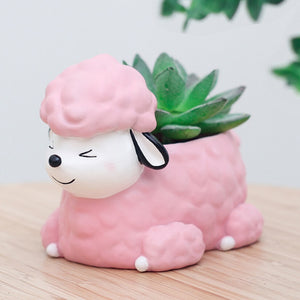 Image of an adorable mini succulent Poodle flower pot 