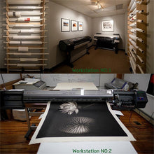 Load image into Gallery viewer, Pop Art Labrador Canvas Print Poster-Home Decor-Dogs, Home Decor, Labrador, Poster-5