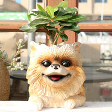 Load image into Gallery viewer, Beautiful Pomeranian Love Decorative Flower Pot-Home Decor-Dogs, Flower Pot, Home Decor, Pomeranian-1