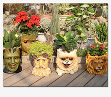 Load image into Gallery viewer, Beautiful Pomeranian Love Decorative Flower Pot-Home Decor-Dogs, Flower Pot, Home Decor, Pomeranian-2