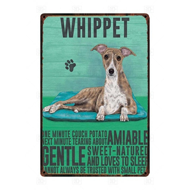 Why I Love My Whippet Tin Poster - Series 1-Sign Board-Dogs, Home Decor, Sign Board, Whippet-Whippet-1