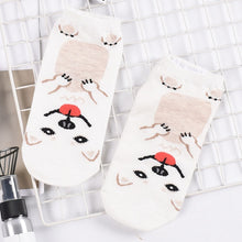 Load image into Gallery viewer, Doggo Love Womens Cotton Socks-Apparel-Accessories, Dogs, Socks-Pomeranian / American Eskimo Dog / Spitz-Ankle Length-15