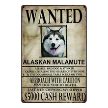 Load image into Gallery viewer, Wanted Doggos Approach With Caution Tin Posters - Series 1-Sign Board-Dogs, Home Decor, Sign Board-Alaskan Malamute-One Size-3