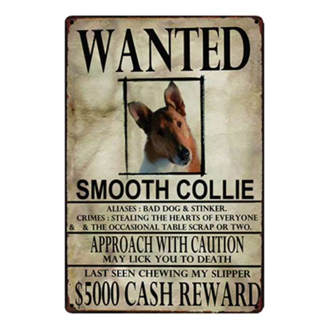 Wanted Smooth Collie Approach With Caution Tin Poster - Series 1-Sign Board-Dogs, Home Decor, Sign Board, Smooth Collie-Smooth Collie-One Size-1