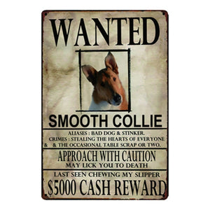 Wanted Bullmastiff Approach With Caution Tin Poster - Series 1-Sign Board-Bullmastiff, Dogs, Home Decor, Sign Board-Smooth Collie-One Size-22