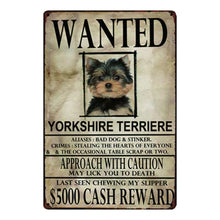 Load image into Gallery viewer, Wanted Greyhound Approach With Caution Tin Poster - Series 1-Sign Board-Dogs, Greyhound, Home Decor, Sign Board, Whippet-Yorkshire Terrier-One Size-24