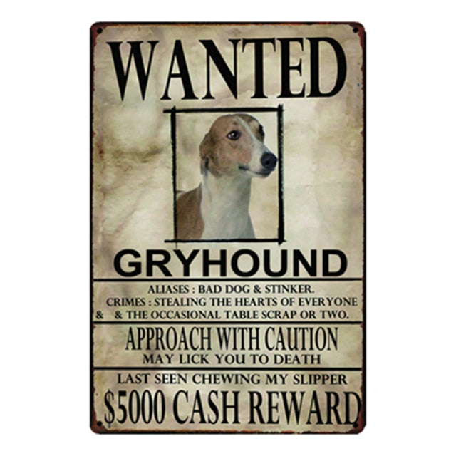 Wanted Greyhound Approach With Caution Tin Poster - Series 1-Sign Board-Dogs, Greyhound, Home Decor, Sign Board, Whippet-Greyhound-One Size-1