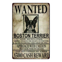 Load image into Gallery viewer, Wanted Greyhound Approach With Caution Tin Poster - Series 1-Sign Board-Dogs, Greyhound, Home Decor, Sign Board, Whippet-Boston Terrier-One Size-8