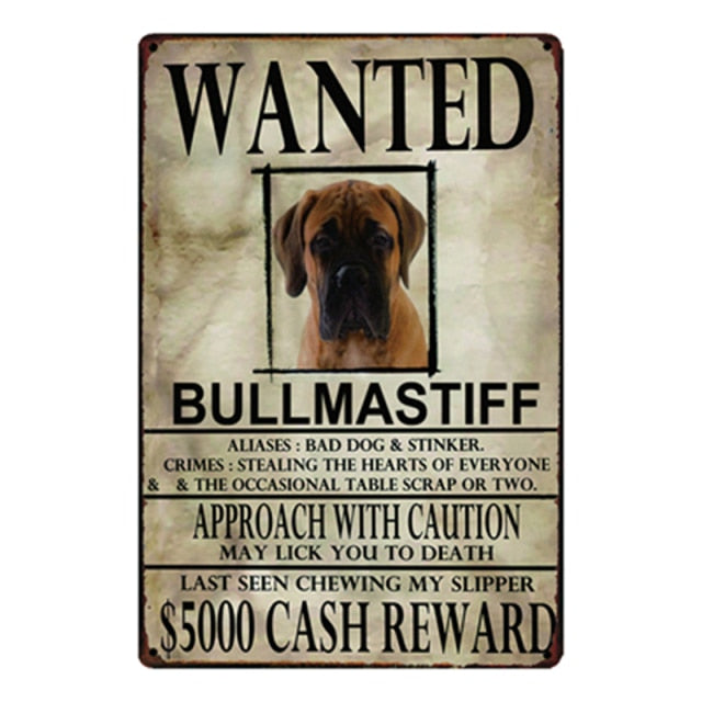 Wanted Bullmastiff Approach With Caution Tin Poster - Series 1-Sign Board-Bullmastiff, Dogs, Home Decor, Sign Board-Bullmastiff-One Size-1