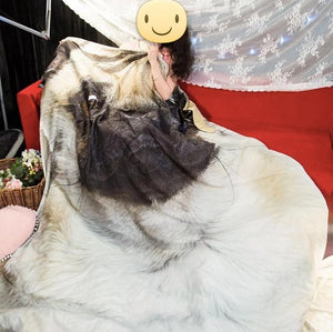 An image of a girl covering herself with a beautiful Pug blanket