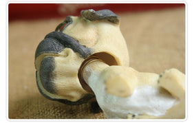 Close image of a Pug bobblehead