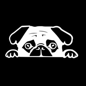 Image of pug car decal in white color