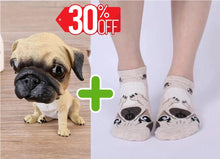 Load image into Gallery viewer, Image of pug gifts bundle with sitting pug bobblehead and pug socks