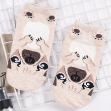 Load image into Gallery viewer, Image of an ankle length pug socks