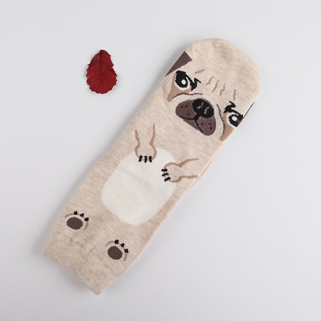 Image of normal length pug socks ladies