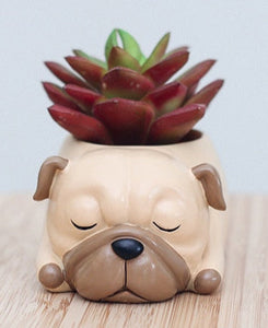 Front image of the collage of Pug planter in sleeping Pug design
