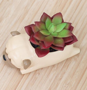 Top image of the collage of Pug planter in sleeping Pug design