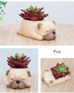 Image of the collage of Pug planter in sleeping Pug design