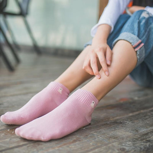 Image of a lady wearing ankle length pug socks