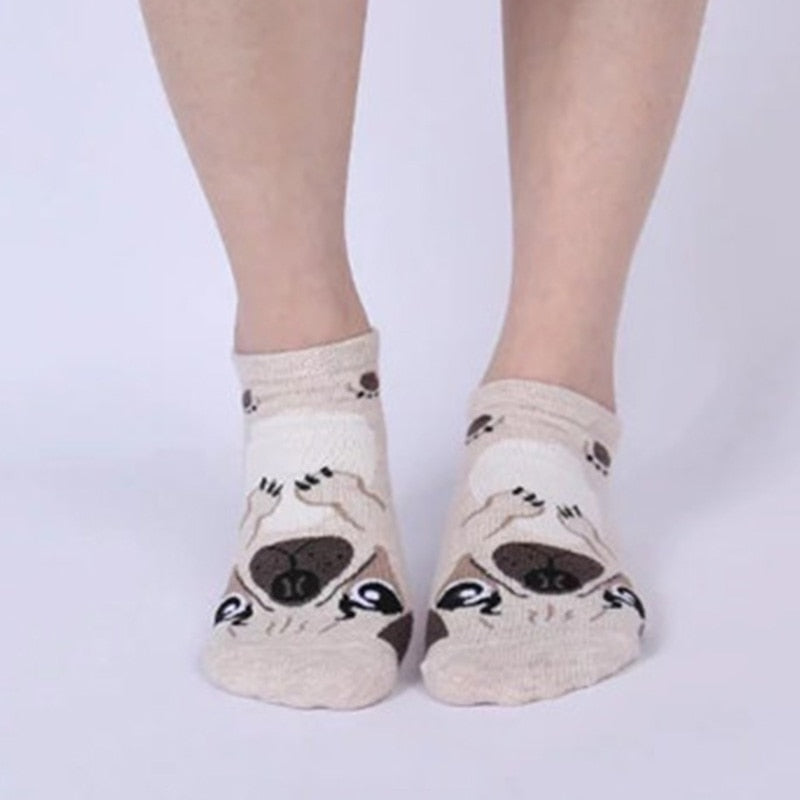 Image of a lady wearing ankle length pug socks