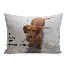 Load image into Gallery viewer, Queen Size Large Black Labrador Cushion Cover - Series 1Cushion CoverDachshundOne Size