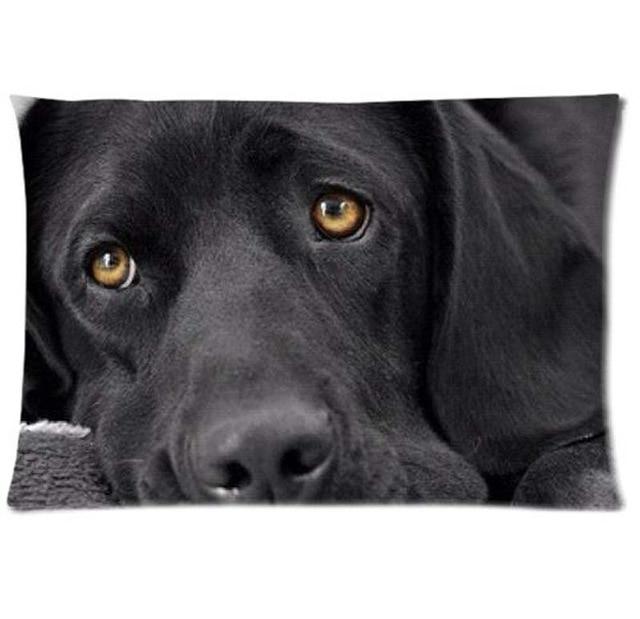 Queen Size Large Black Labrador Cushion Cover - Series 1Cushion CoverLabrador - BlackOne Size