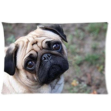 Queen Size Large Black Labrador Cushion Cover - Series 1Cushion CoverPugOne Size