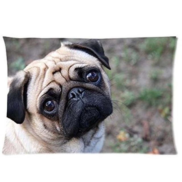 Queen Size Large Curious Pug Cushion Cover - Series 1Cushion CoverPugOne Size