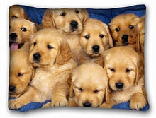 Load image into Gallery viewer, Queen Size Large Yellow Labrador Puppies Cushion Cover - Series 1Cushion CoverLabrador PuppiesOne Size