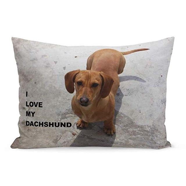 Queen Size Rectangular Large Dachshund Cushion Cover - Series 1Cushion CoverDachshundOne Size
