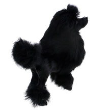 Load image into Gallery viewer, Realistic Black Poodle Stuffed Animal Plush Toy-Soft Toy-Dogs, Home Decor, Poodle, Stuffed Animal-5