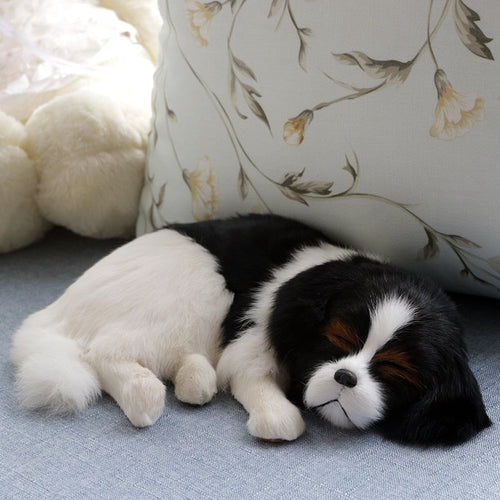 Tri color cavalier king charles spaniel stuffed animal sale