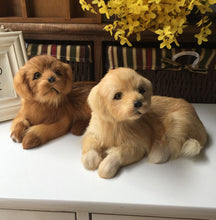 Load image into Gallery viewer, Realistic Lifelike Golden Retriever Stuffed Animals with Real Fur-Soft Toy-Dogs, Golden Retriever, Home Decor, Soft Toy, Stuffed Animal-8