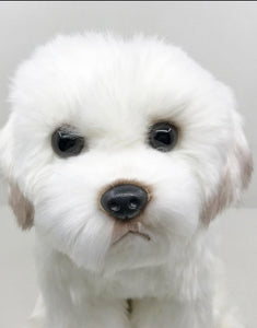 image of an adorable maltese stuffed animal plush toy in white background - zoomed in face view