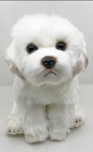 Load image into Gallery viewer, image of an adorable maltese stuffed animal plush toy in white background