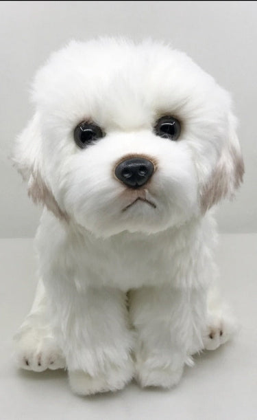 Cutest Sitting Maltese Stuffed Animal Plush Toy