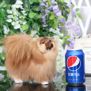 Realistic Lifelike Pekingese Stuffed Animal with Real Fur-Soft Toy-Dogs, Home Decor, Pekingese, Soft Toy, Stuffed Animal-5