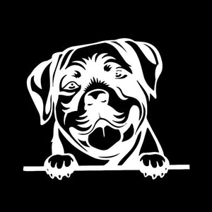 Image of a rottweiler car sticker in the color white