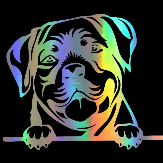Image of a rottweiler car sticker in the color reflective rainbow